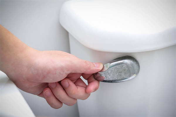Lý do phải đóng nắp bồn cầu khi giật nước