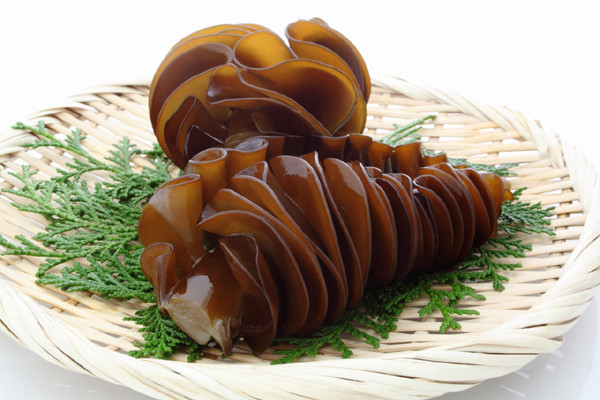 Những điều ít biết về hợp chất fucoidan chiết xuất từ tảo nâu Mekabu