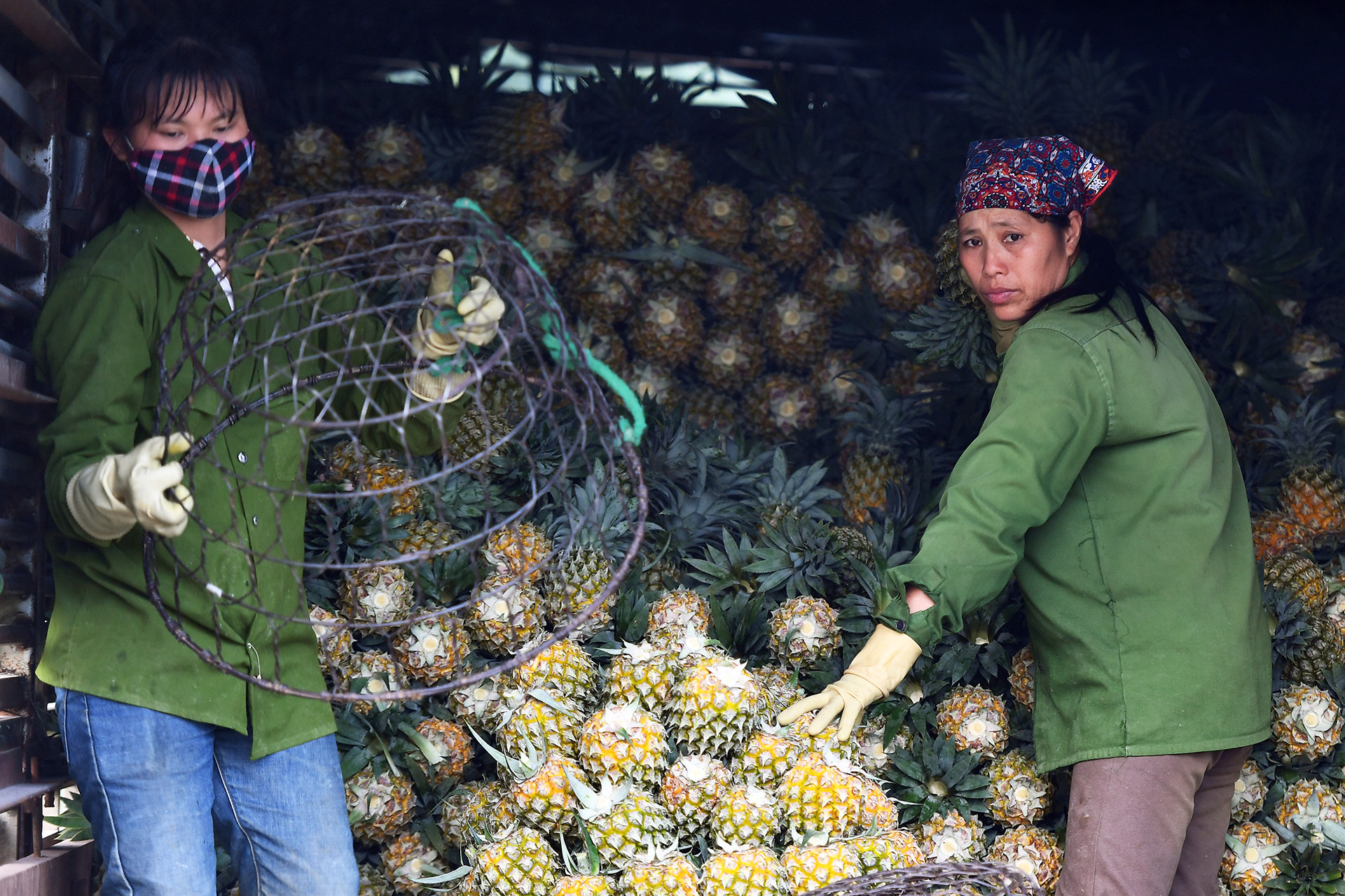 Hai con số ‘giật mình’, trái cây Việt lộ điểm yếu trước Thái Lan