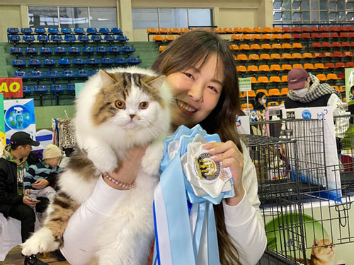 Cat show crowns the best of the best