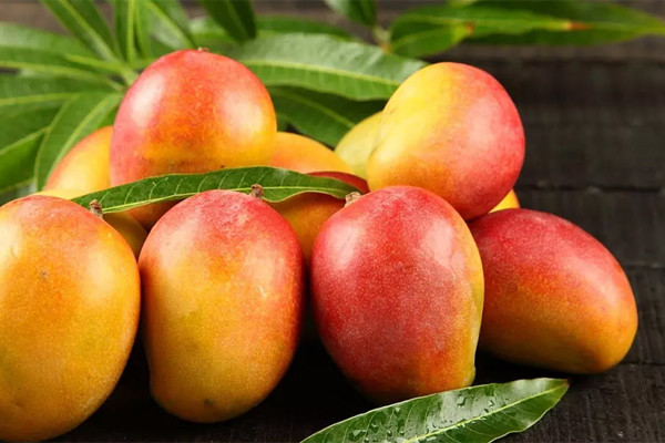 Người phụ nữ chỉ ăn trái cây trong 3 năm và khuyến cáo của chuyên gia