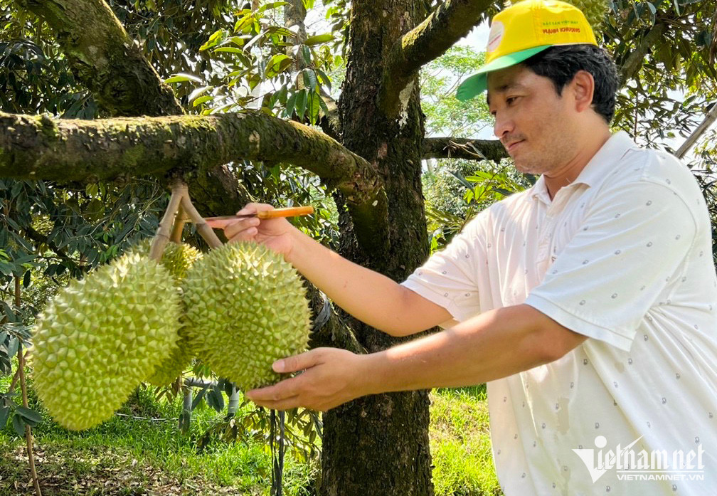 VN goods face difficulty as Chinese market becomes choosier