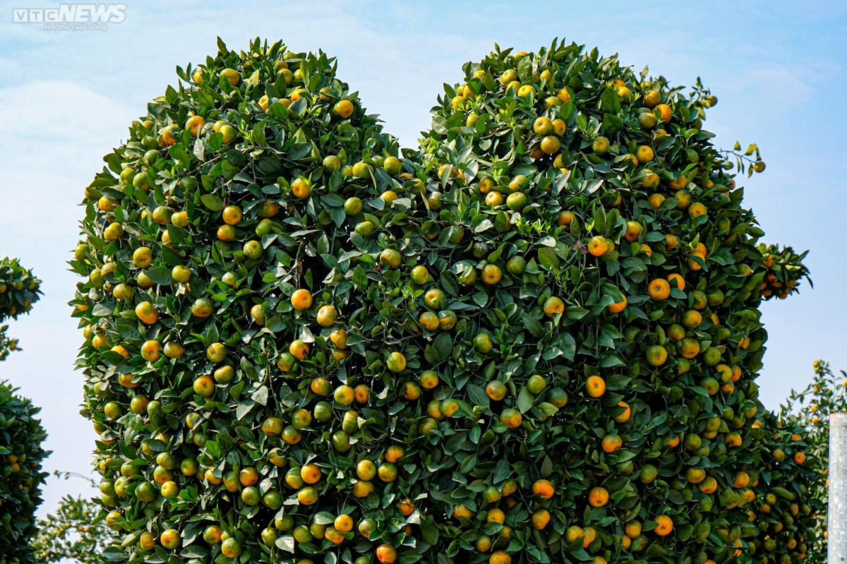 world cup trophy shaped bonsai trees go on sale picture 8