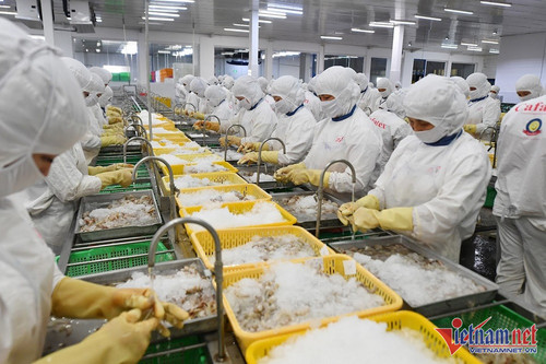 Seafood industry sets new export revenue records