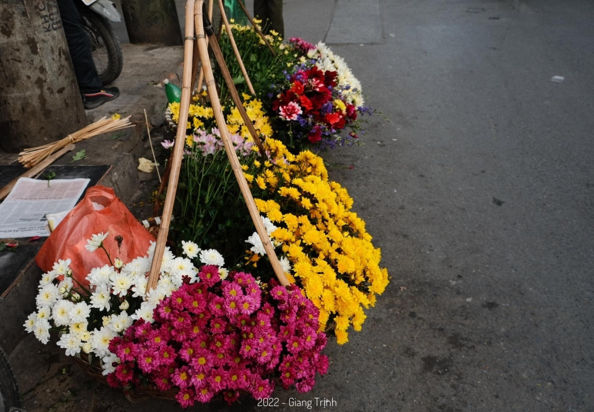 colourful flowers adorn streets of hanoi in wintertime picture 4