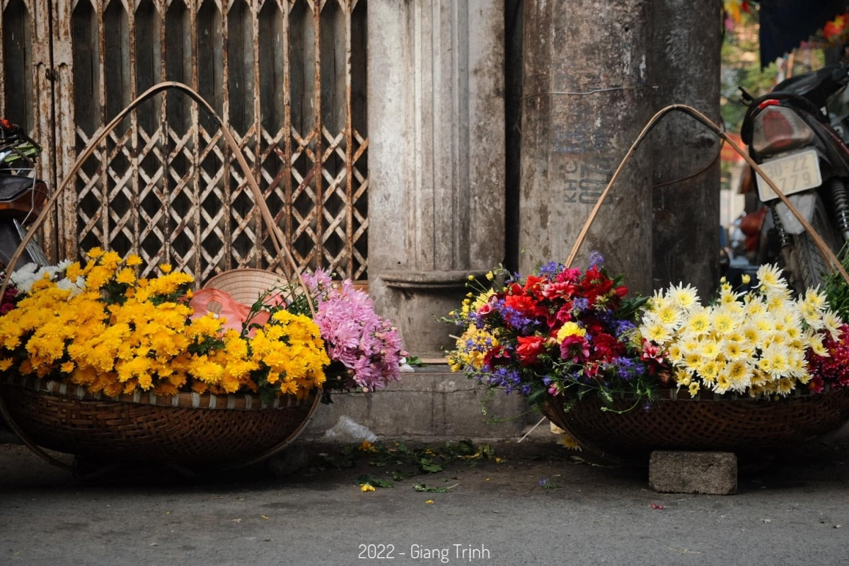 colourful flowers adorn streets of hanoi in wintertime picture 3