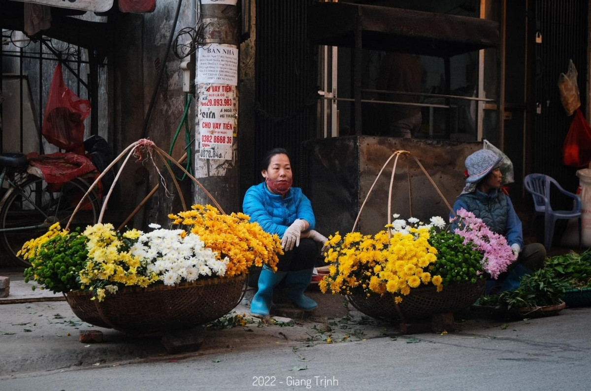 colourful flowers adorn streets of hanoi in wintertime picture 1