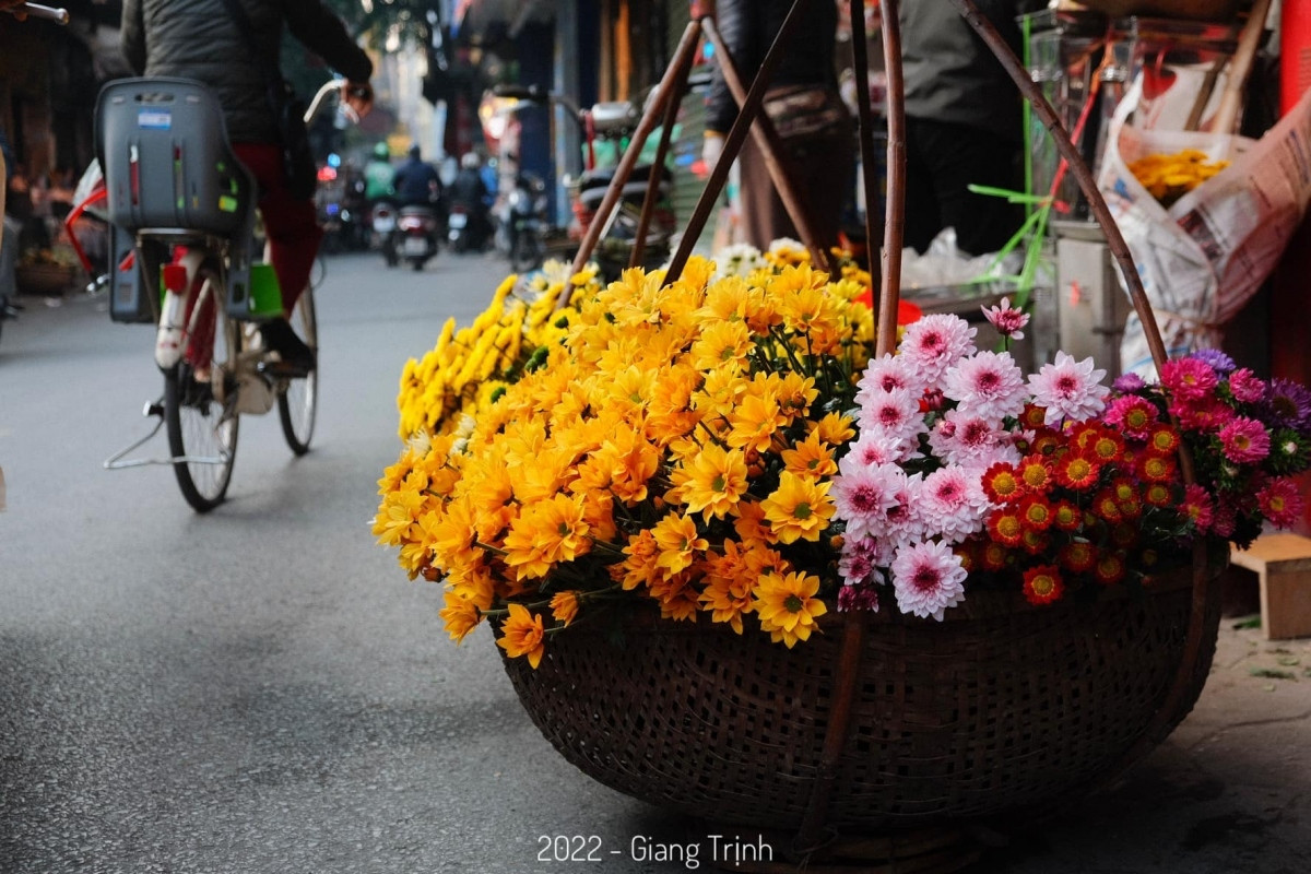 colourful flowers adorn streets of hanoi in wintertime picture 9