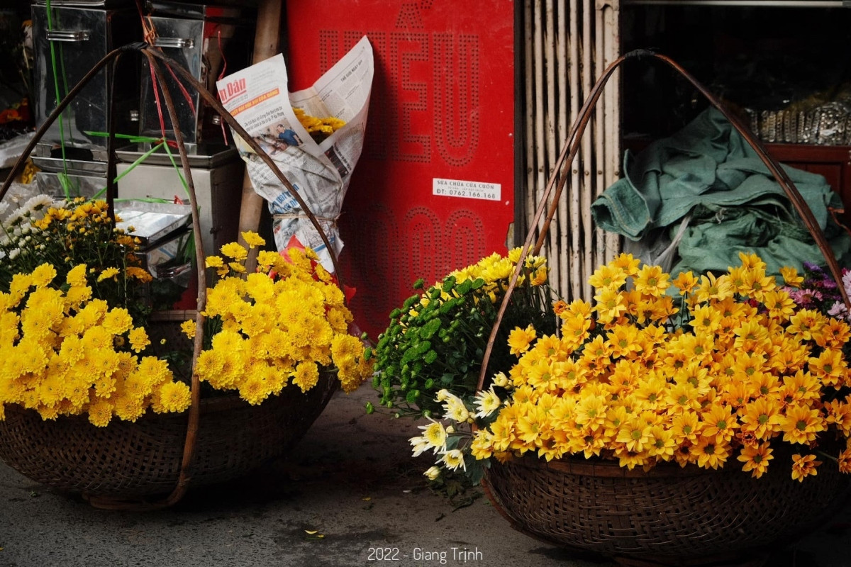 colourful flowers adorn streets of hanoi in wintertime picture 2