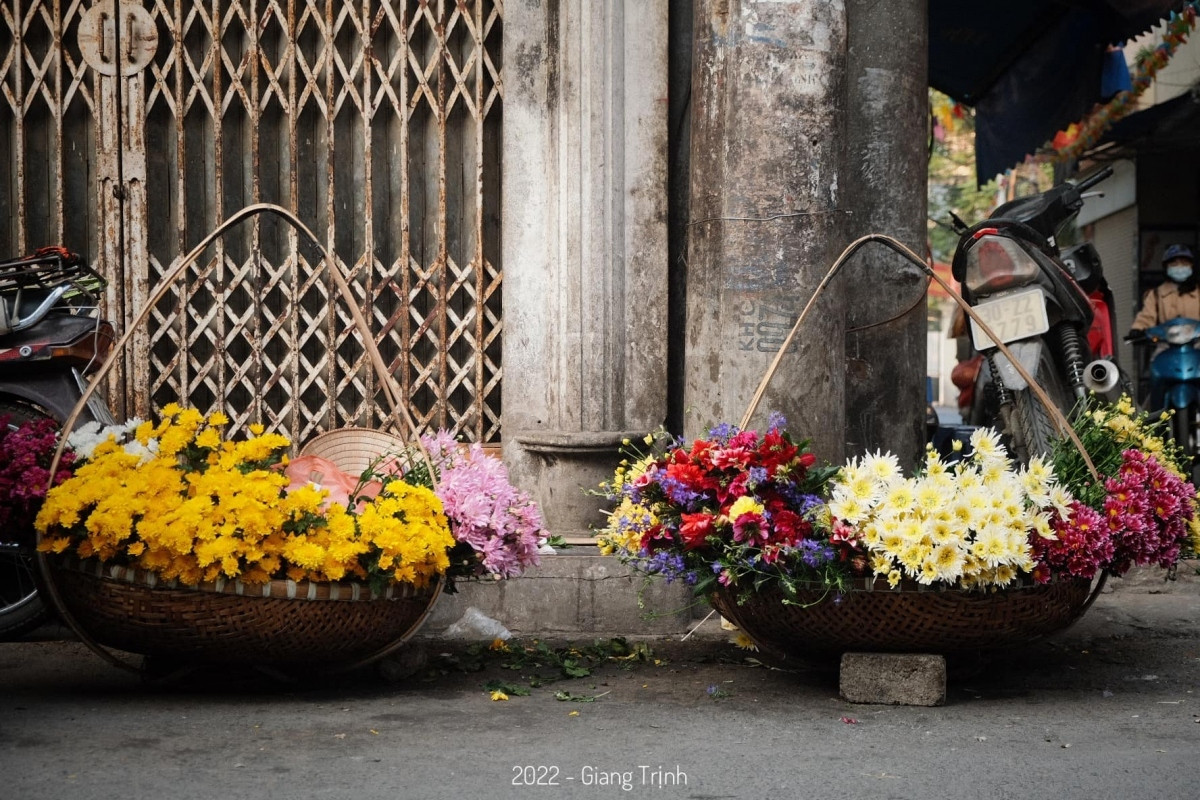 colourful flowers adorn streets of hanoi in wintertime picture 5