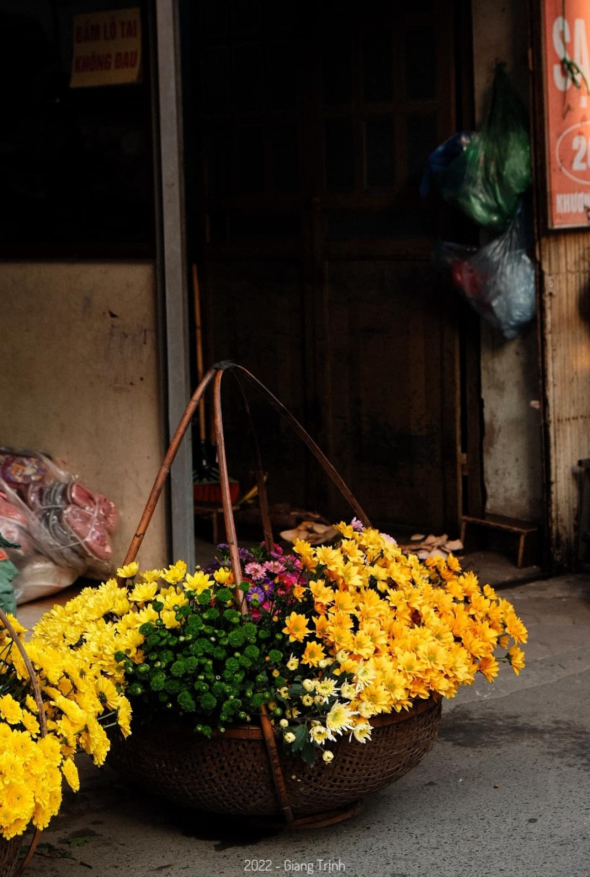 colourful flowers adorn streets of hanoi in wintertime picture 8