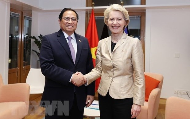 Prime Minister’s tour of Europe highly successful: Foreign Minister hinh anh 1