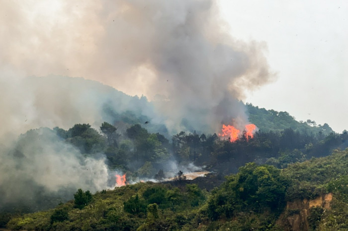 60 người cật lực trong 8 giờ dập lửa cháy rừng ở Móng Cái