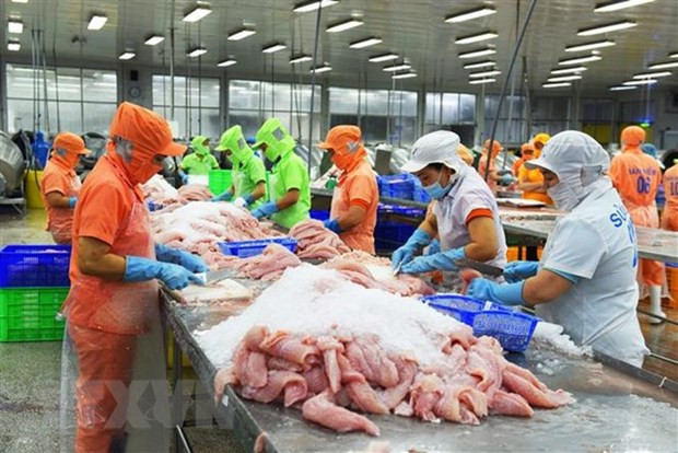 Over 90% of Tra fish on sale in US are from Vietnam