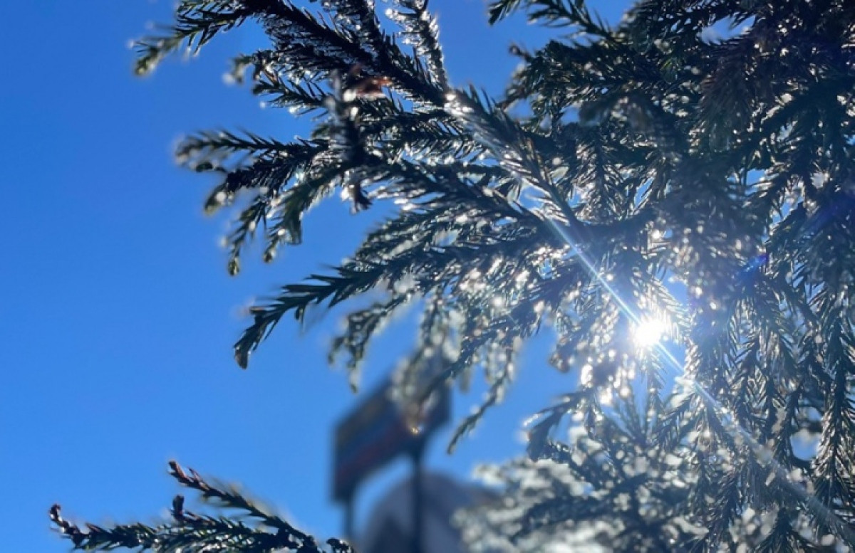 temperatures falls below zero, ice and frost recorded on fansipan mt peak picture 7