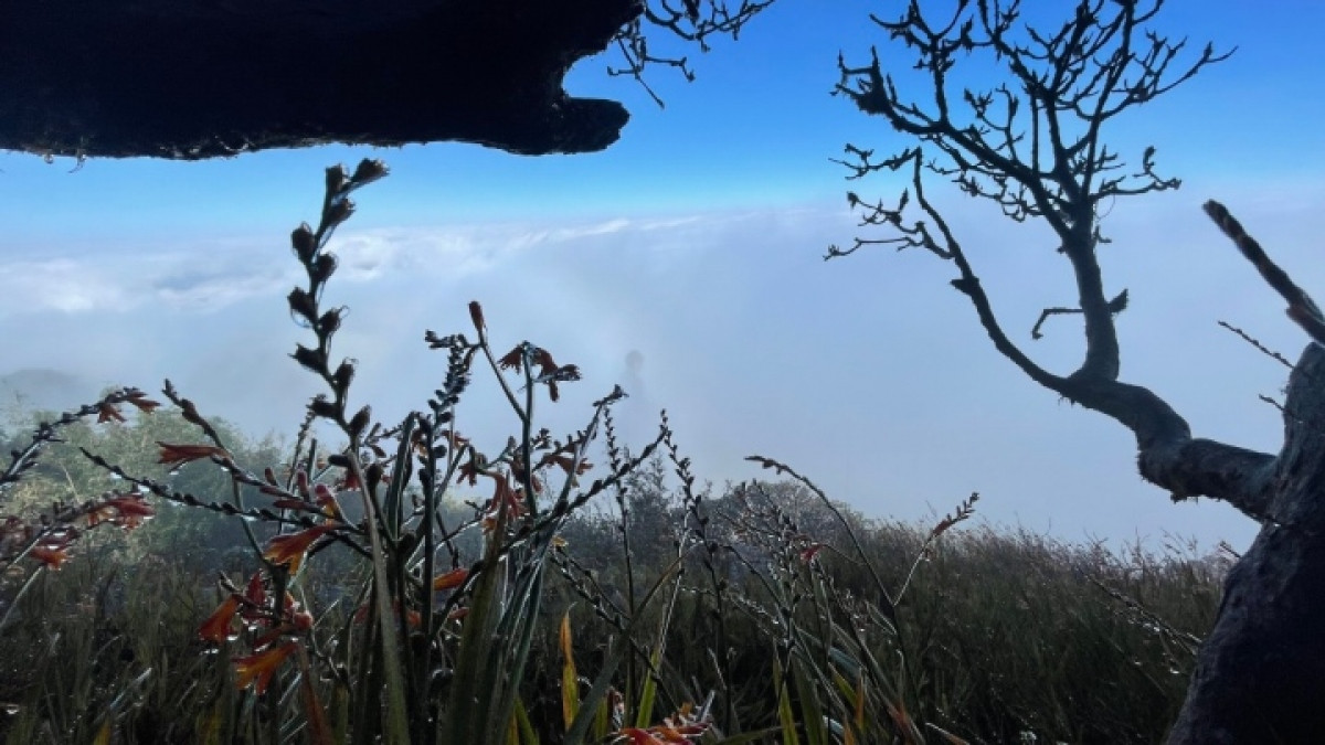 temperatures falls below zero, ice and frost recorded on fansipan mt peak picture 8