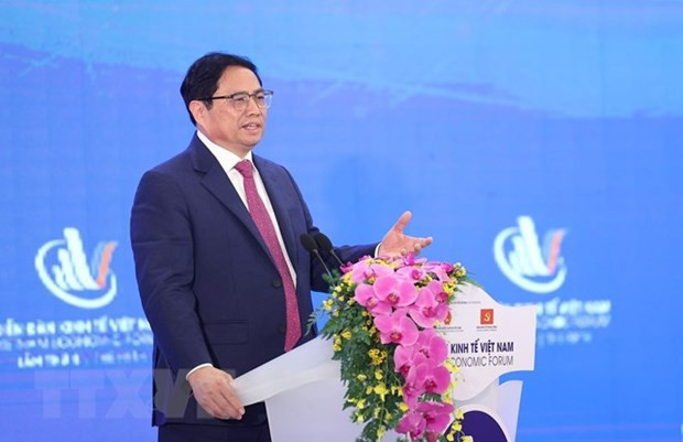 Vietnam has successful year despite difficulties: PM hinh anh 1