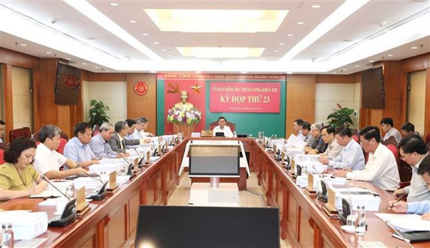 Disciplinary measures against a number of leading officials, Party organisations hinh anh 1