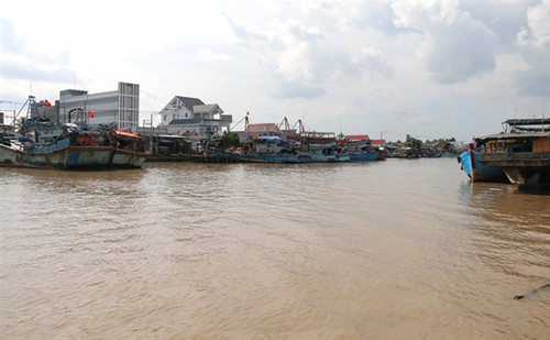 Transport Ministry urges new ship channel for large vessels in Mekong Delta