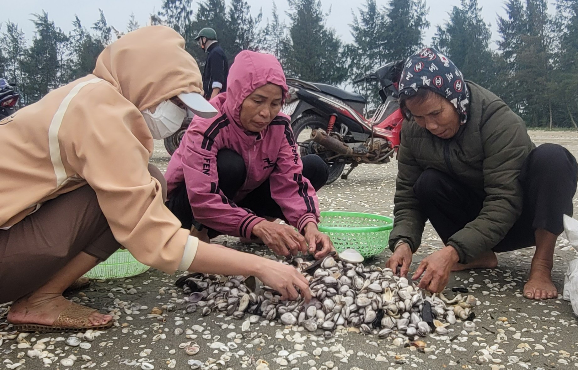 'Lộc trời' nổi lên khi biển động, cả làng hò nhau đi vớt