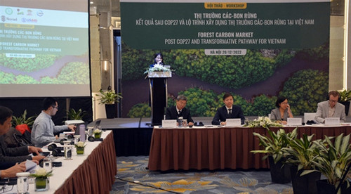 Forest carbon market in Vietnam does not correspond to its potential