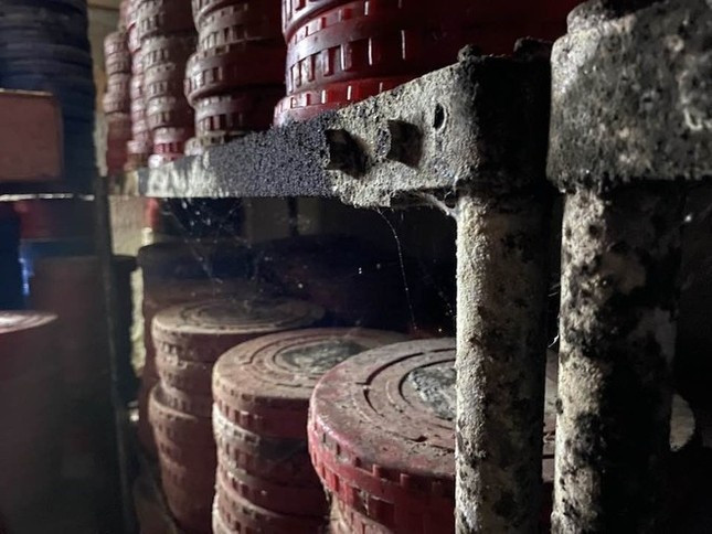 phim nhua hong hoc anh 2