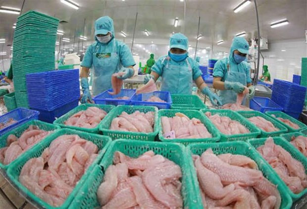 New records seen in agro-forestry-fishery exports in 2022 hinh anh 2