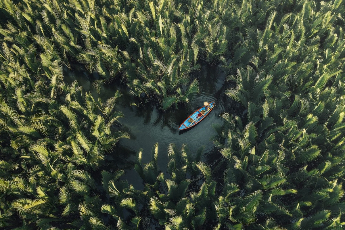 national geographic traveler honours vietnam s nipa palm forest photo picture 1