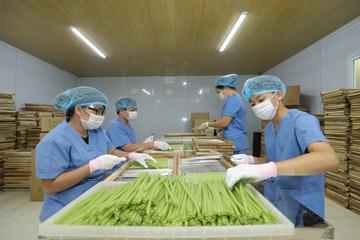 Only in Vietnam: Shrimp-chip straws, dragon-fruit noodles