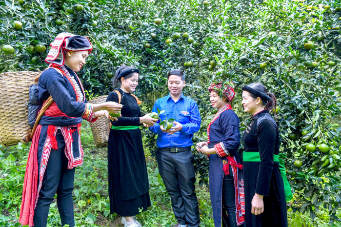 Tuyên Quang: Xây dựng điểm bán hàng tại những vùng phát triển du lịch