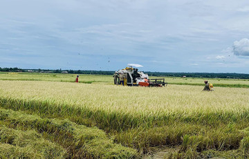 Vietnam has bumper rice export crop in 2022