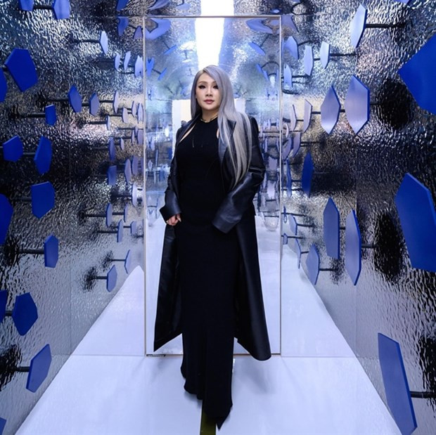 New Year countdown music party to be held in downtown HCM City hinh anh 1