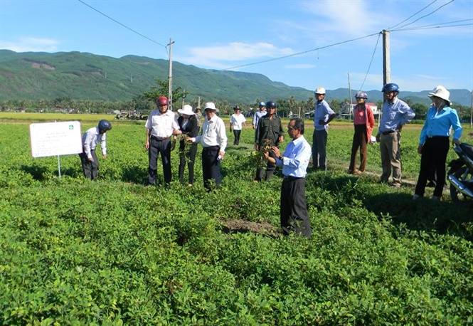 Nông thôn mới đang hình thành tầng lớp nông dân chuyên nghiệp