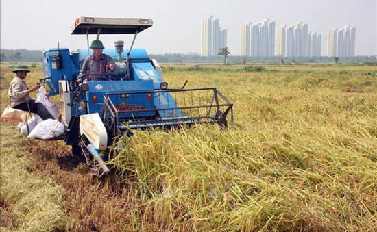 NTM thúc đẩy xây dựng và phát triển tầng lớp nông dân mới