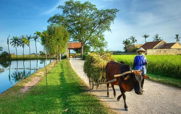 Một thời đại mới cho nông nghiệp Việt Nam, cho nông thôn Việt Nam