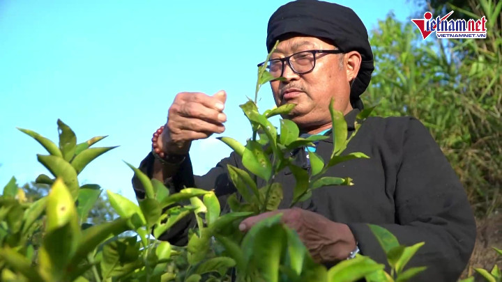 Ông Pờ Dần Xinh: “Người Hà Nhì đi đầu và đứng đầu”