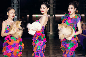Lương Thùy Linh, Đỗ Thị Hà bế mèo catwalk