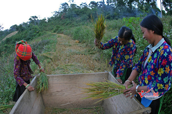 Lào Cai nỗ lực thay đổi hành vi của đồng bào DTTS về bình đẳng giới