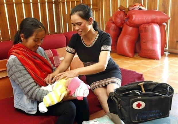 Vietnam in need of more village-based midwives hinh anh 1