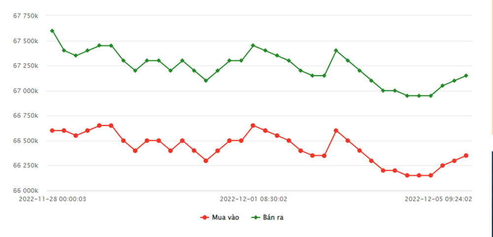 bieu-do-gia-vang-sjc-tu-28-11-2022-den-05-12-2022