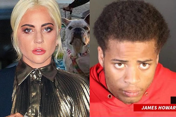 Kẻ sát nhân bắn người dắt chó của Lady Gaga bị kết án 21 năm tù