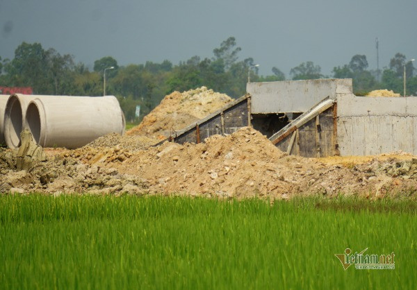 Bắt nguyên Phó chủ tịch quận ở Đà Nẵng vì nhận hối lộ