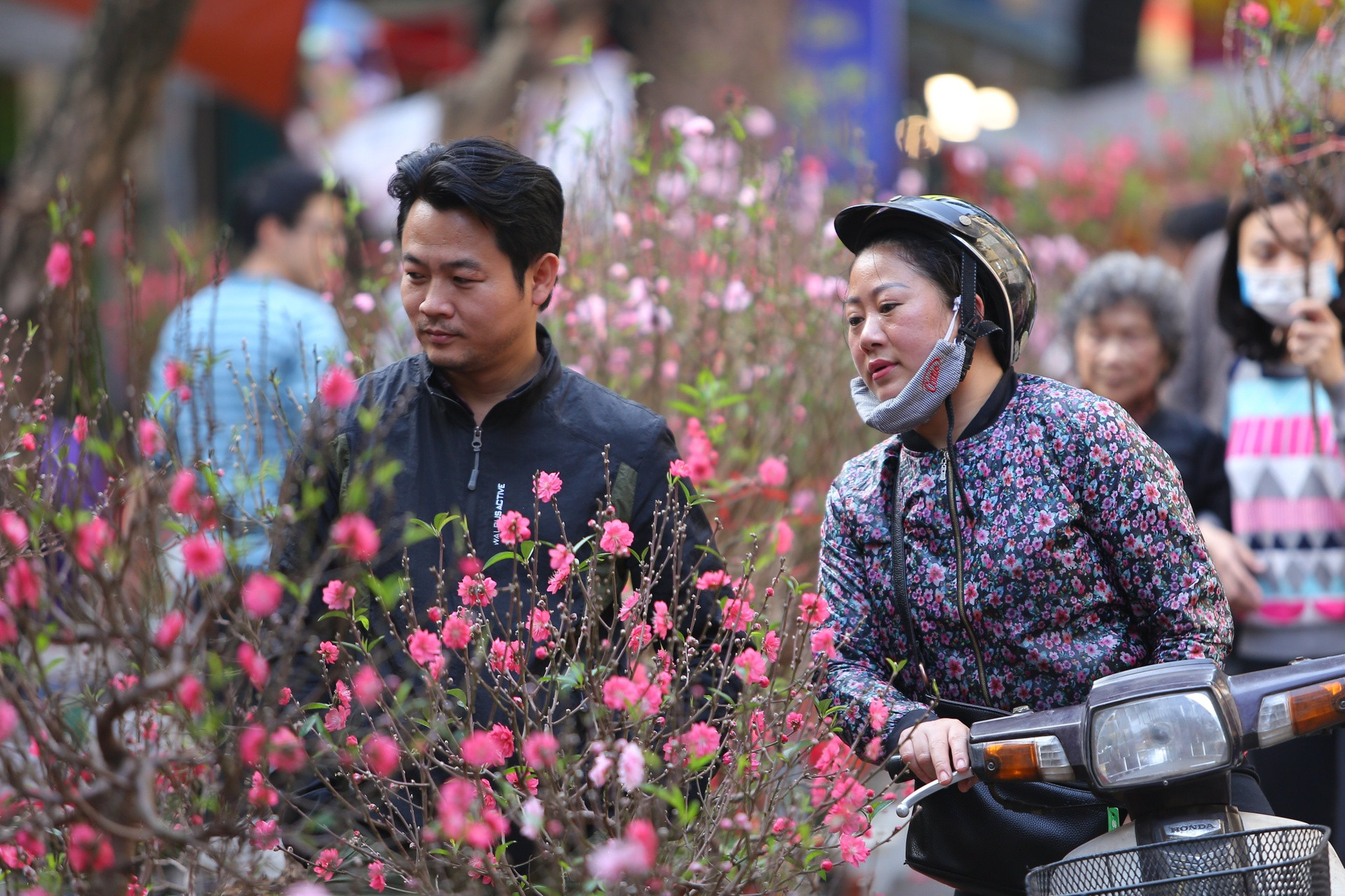 Thời tiết Tết Nguyên đán Quý Mão 2023 có thể rét đậm