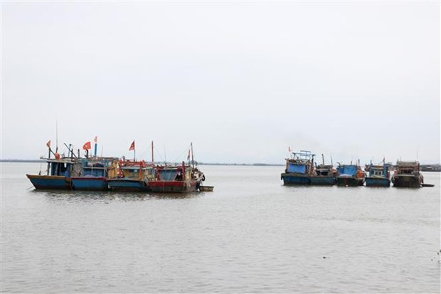 Int’l conference marks 40th anniversary of UNCLOS hinh anh 1