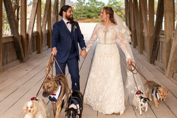 Cặp đôi chi tiền triệu may trang phục cho 5 chú chó dự đám cưới