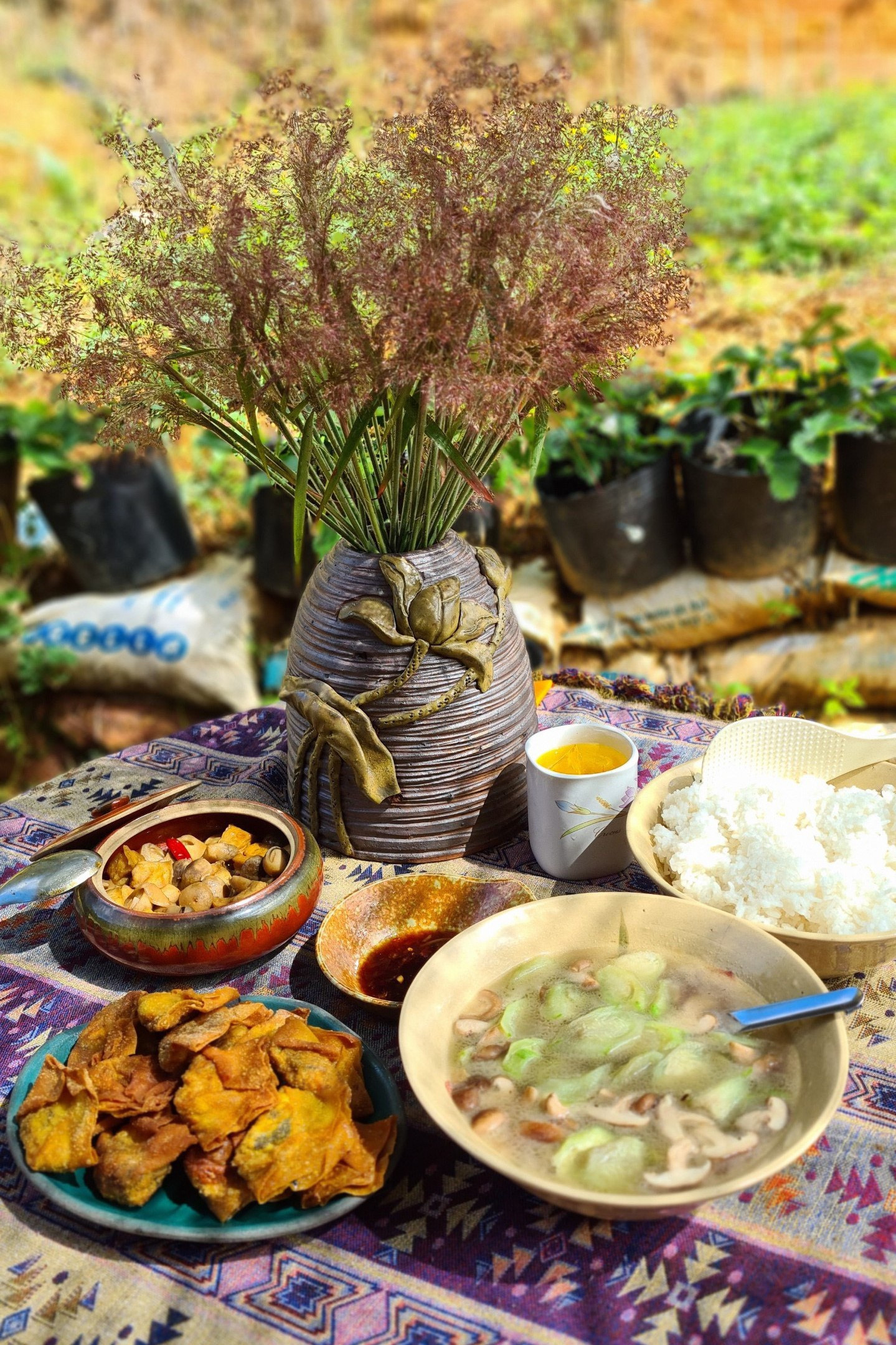 Co gai ru ban trai roi TP.HCM len Da Lat song anh 5