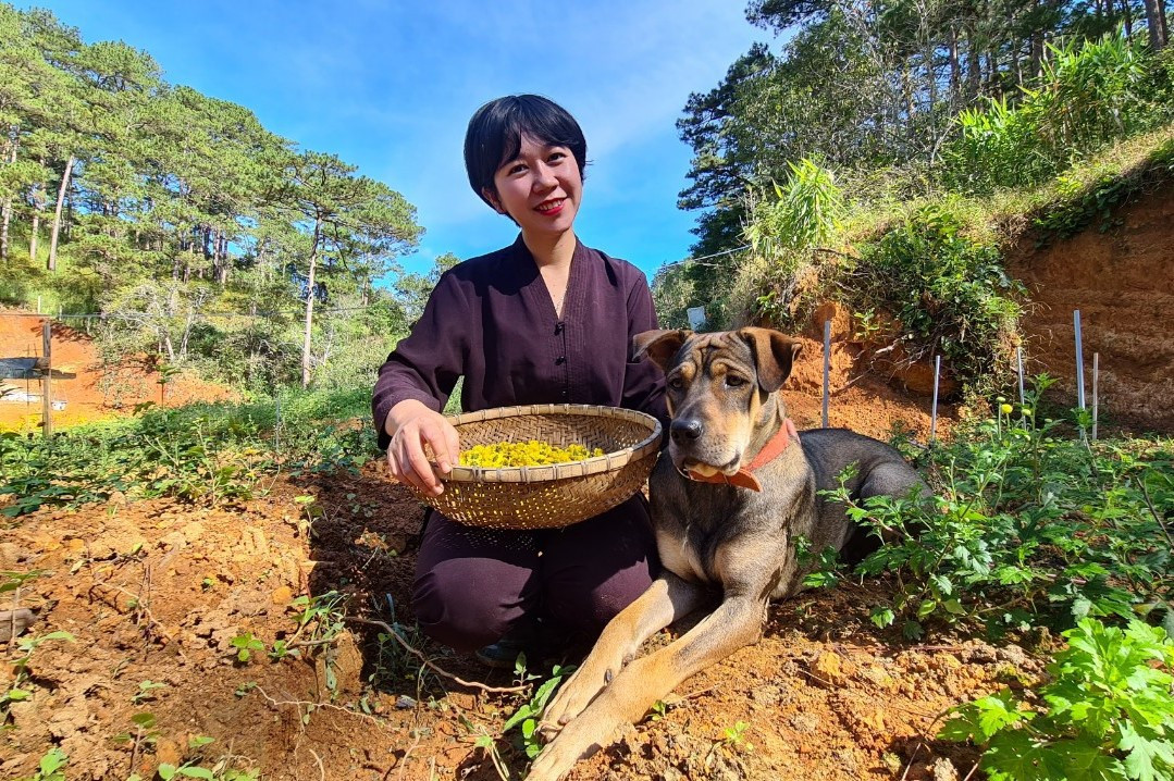 Co gai ru ban trai roi TP.HCM len Da Lat song anh 2