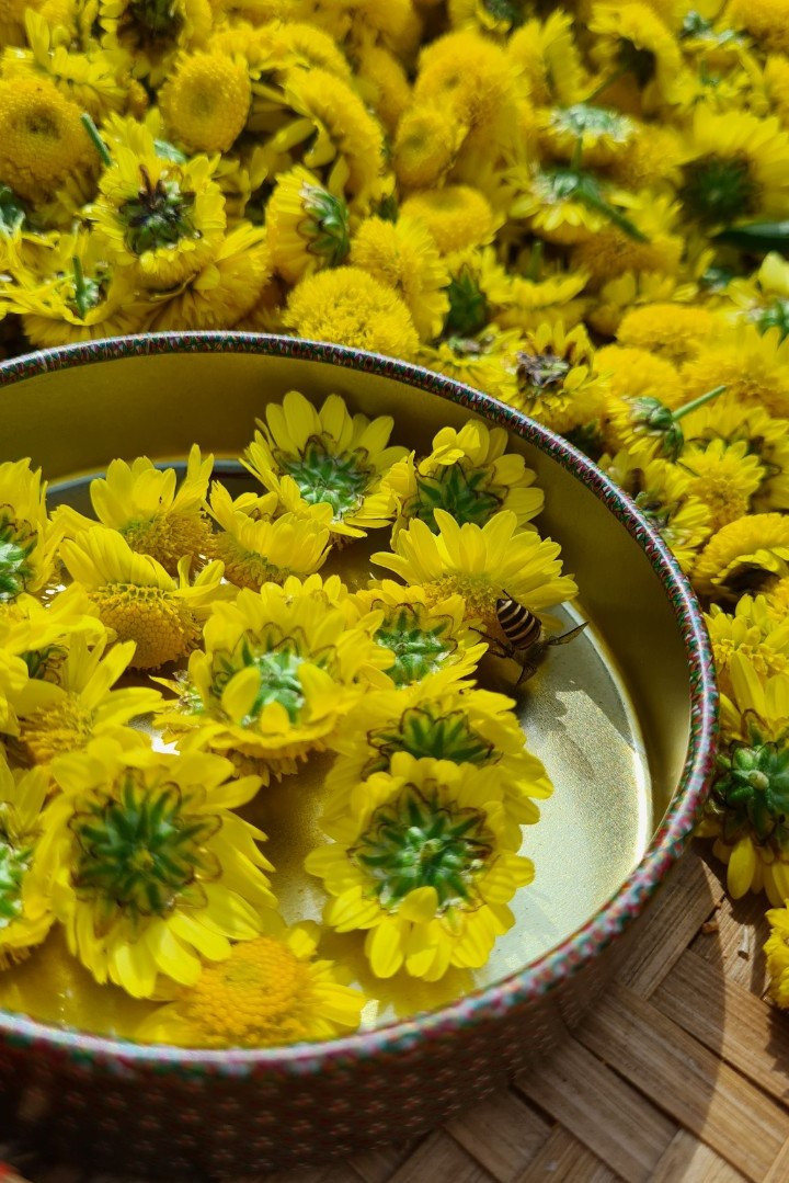 Co gai ru ban trai roi TP.HCM len Da Lat song anh 4