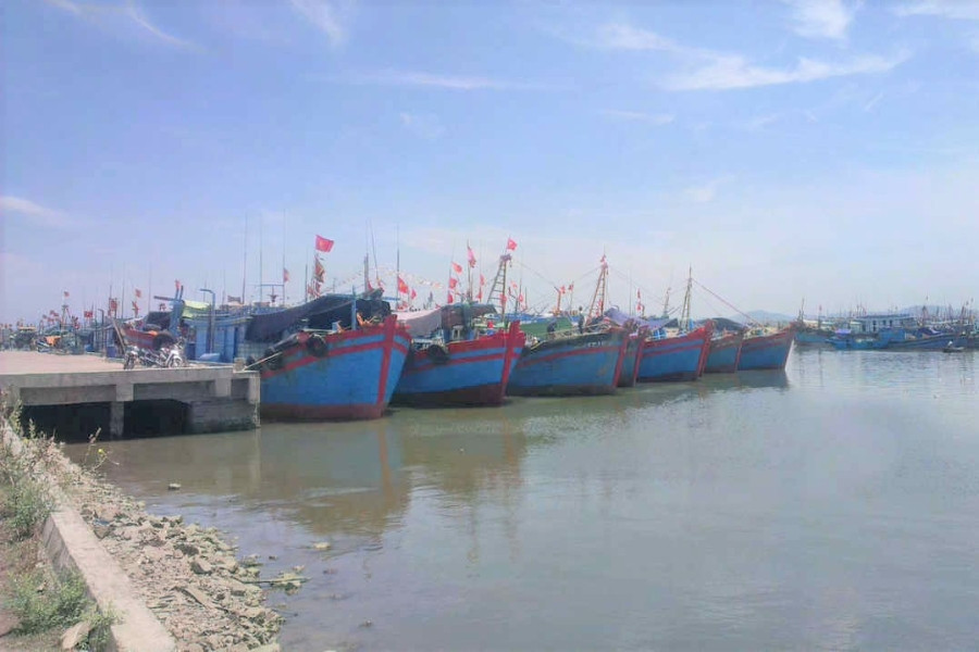 Giám đốc cảng cá ở Thanh Hóa bị tố có nhiều sai phạm?