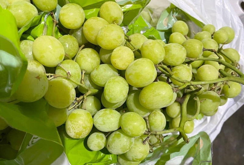 Australian green grapes ‘crispy like eggplant’, limit buyers to 3kg/order